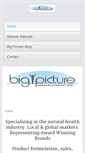 Mobile Screenshot of bigpicturesales.com